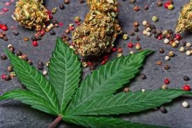 Terpene Profile