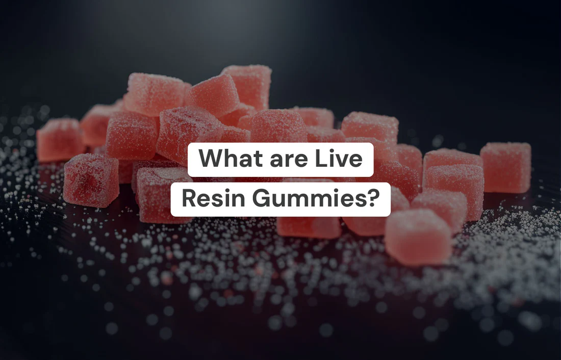 img-1718943924865 what is live resin gummies