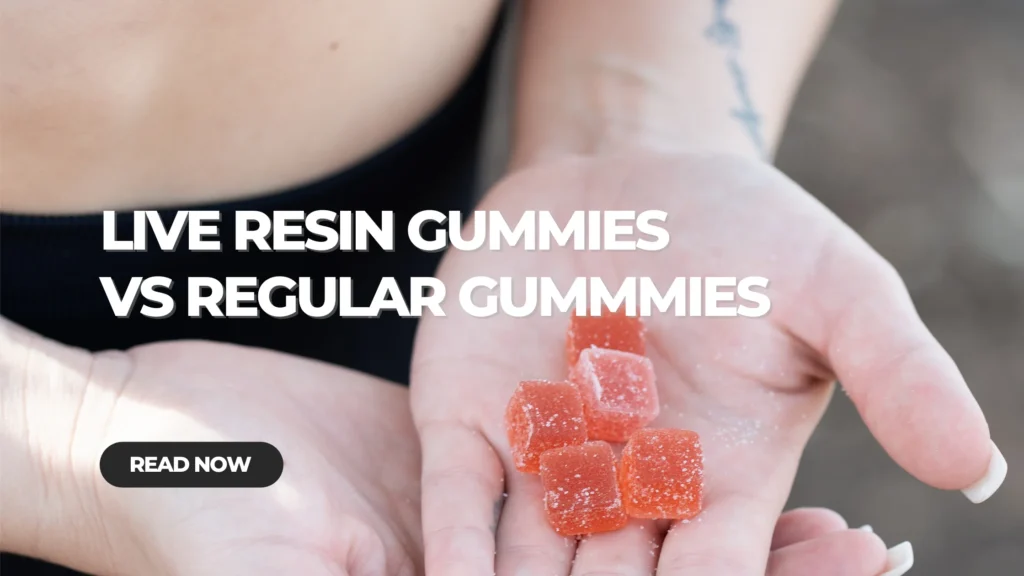 What Are Live Resin Gummies?